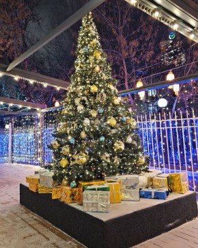 ��� �������� ���������� ���������: ���������� �����������