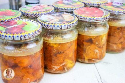 ��� ������� ���� ����: ������� ������� � ������ �� ����