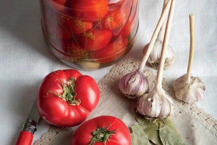 ��� �������� � �������� ���� ����� ���������� ������� ����� � ������ ��������