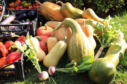 ����� '������������': ������� ������� �������� � �������� ������