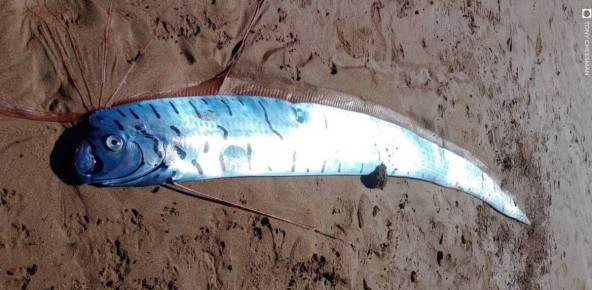 ��������� ��������� ���� �� ������ ���������� ������� ��� ���������� ����������� � ��������� �������������