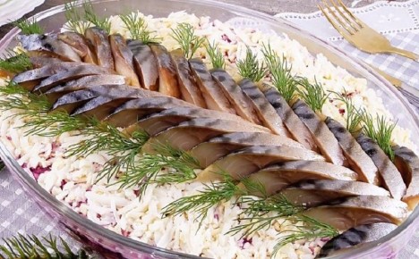 �������� ��� �����: ����� ������ �� ������������ ������ �����