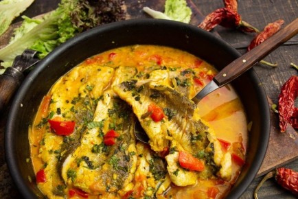 ������ ���� ��-�����������