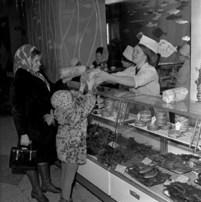 ����� ������� � ������� �������: ��������� �������� �� ����� ����������