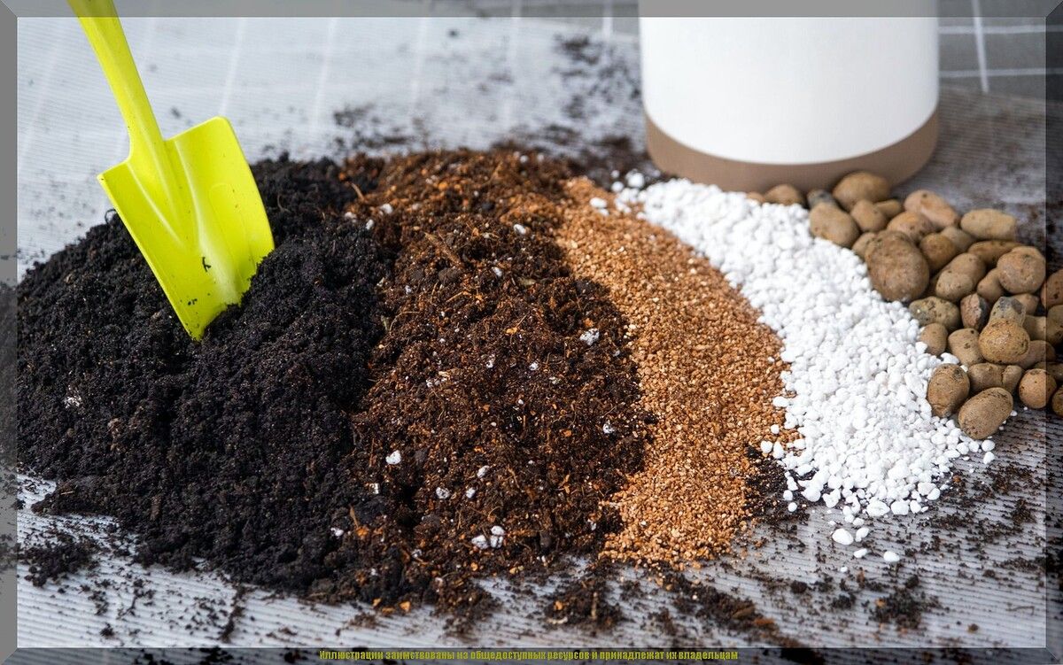 ����������� ��������� ����� ��� �������: ������� � ������