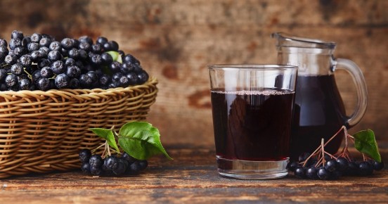 Польза черноплодной рябины