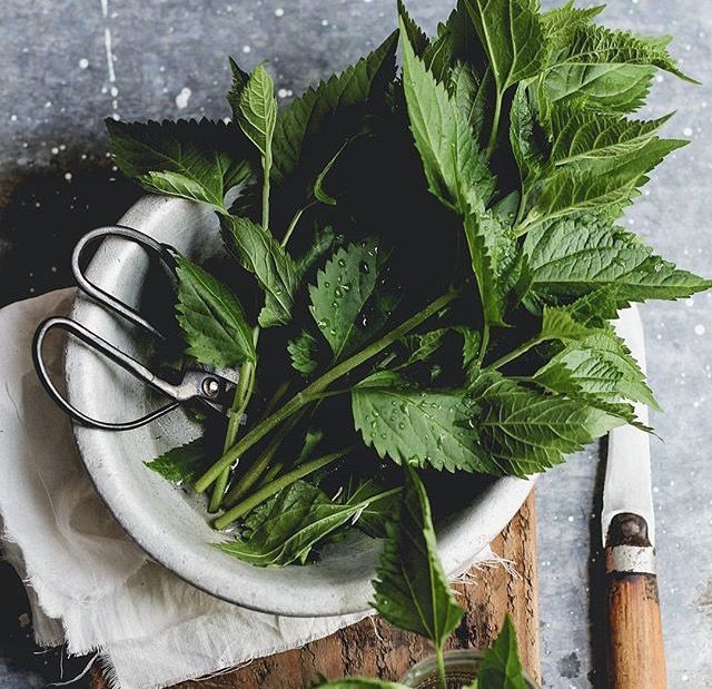 ��� ������� �������� ���� ������ � ������������� ����� ����������