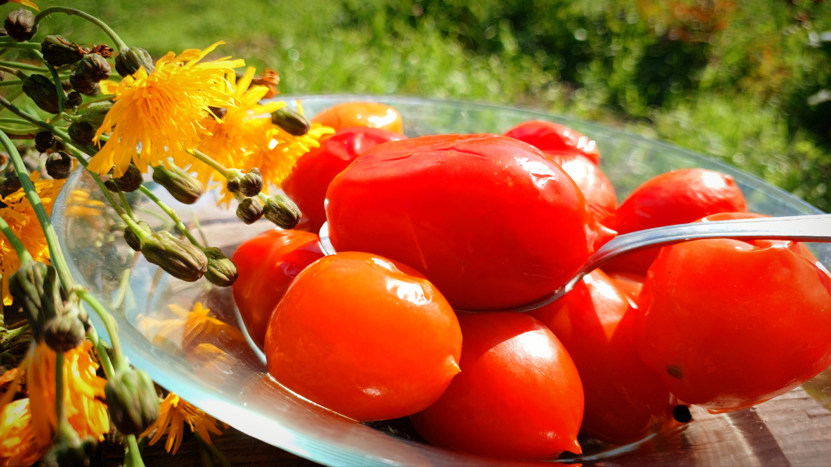 Сохраните летний вкус: простые рецепты маринованных помидоров