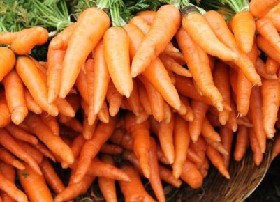 Секреты длительного хранения моркови на зиму