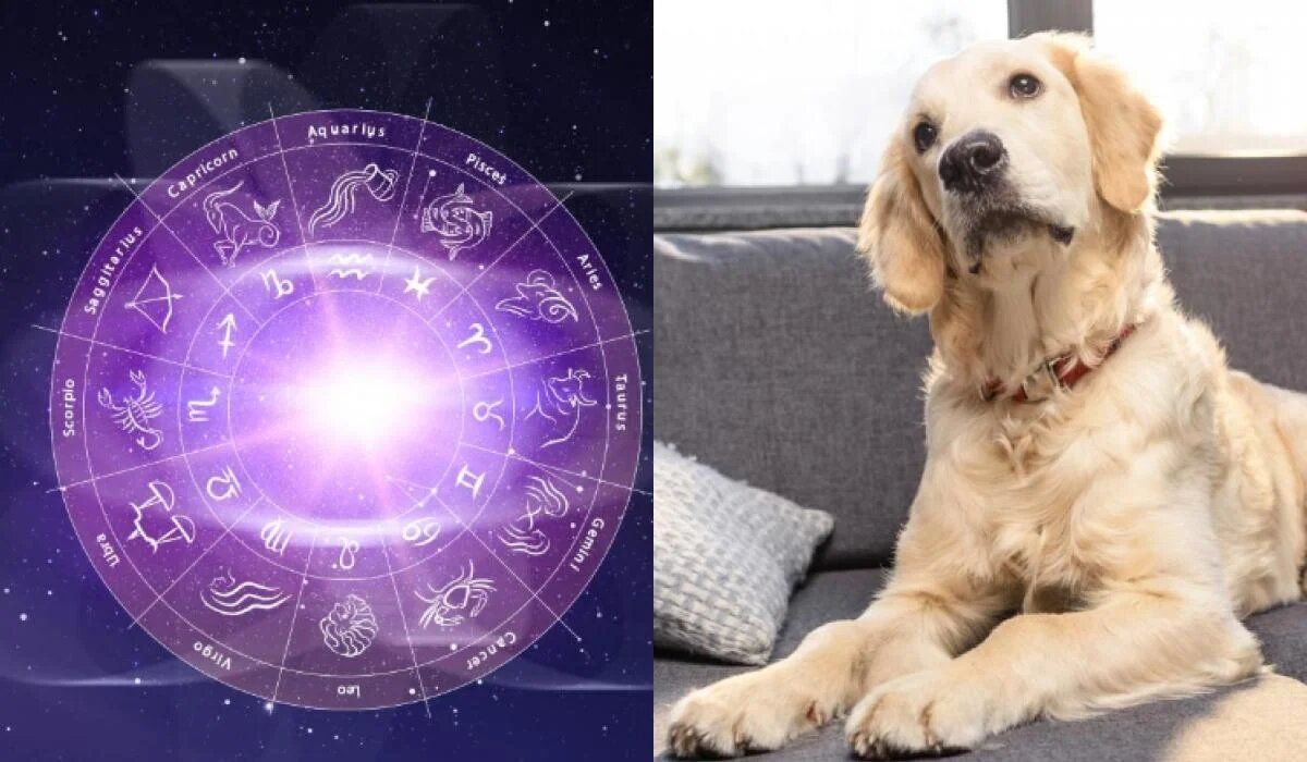 ��� ��� ���� ������� ���������� ���� ������� ����