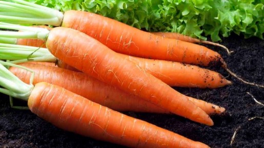 ��� ��������� ��������� �������: ������� ������� � ��������� �������