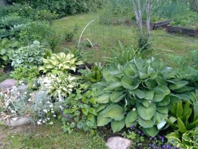 Создаем альпийскую горку: удивительная премия для вашего сада