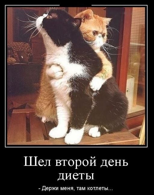 Второй день осознанного питания и первый на кето: как похудение стало целью