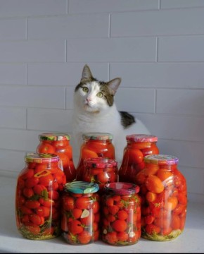 Как мариновать помидоры: классический рецепт с изюминкой