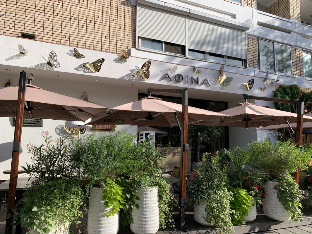 ����� ��������� "����" � ��������� "�����" �� 7800 ������