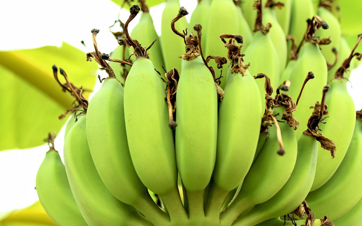 ������ ������ ������ ����� �������� � ������?