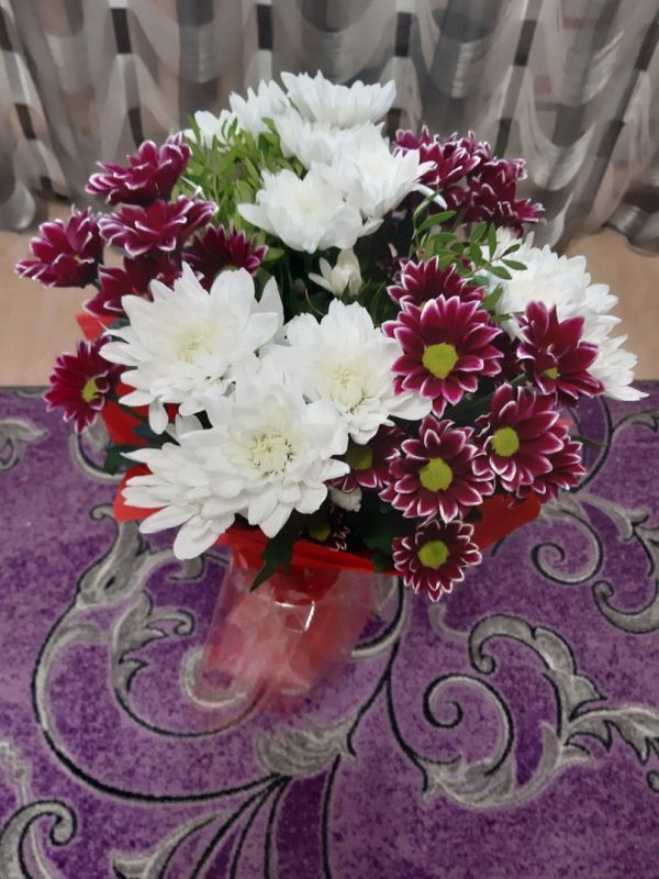 ����� �� ��������� ����� �������� � ��������?