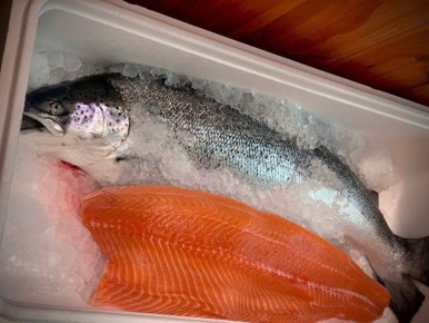 ��� ������ ������ �� ����: ������� ���������� �����