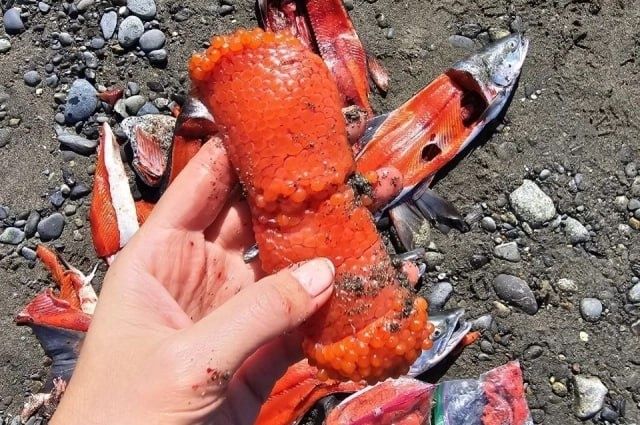 ������: ��������� ���� � ����� �������