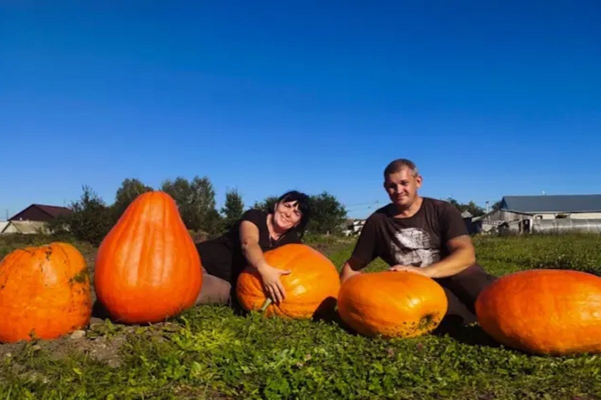 ���������� ���������� ����� �������: ��������� ������ �� ����������� �����