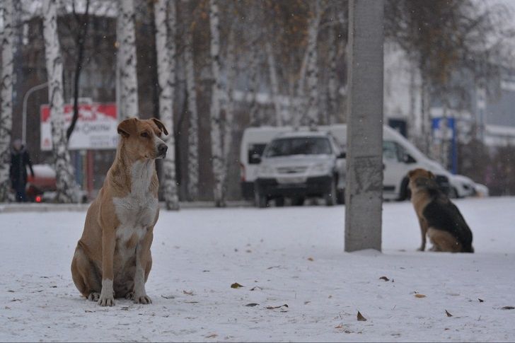 ���� ����� ��������� ������ � ��������� ������ ����� ���������� �������