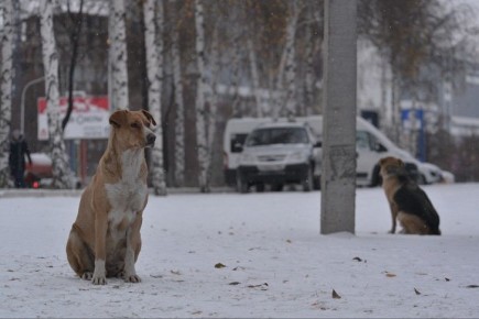 ���� ����� ��������� ������ � ��������� ������ ����� ���������� �������