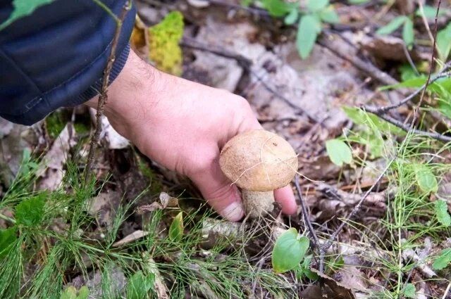 ���������� ���� � ������������� ������: ������ ���������