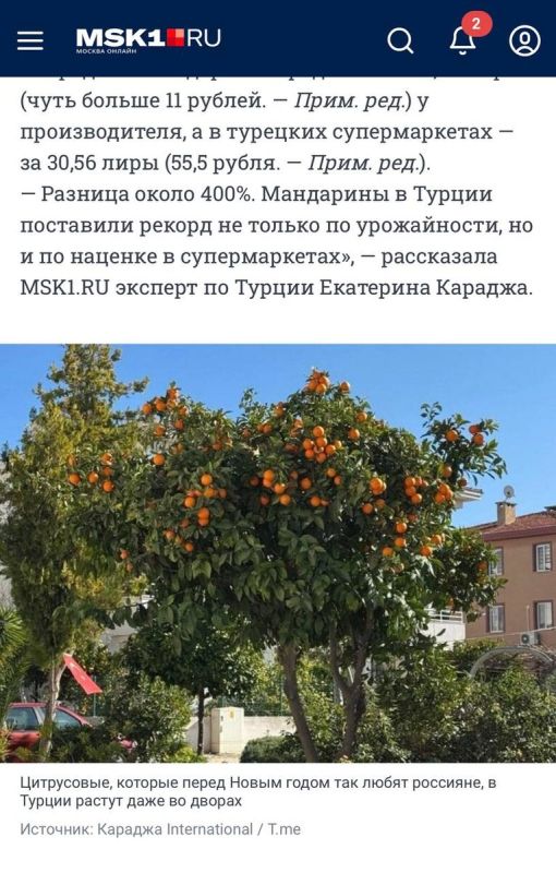 ����� ��� ��� ����������: ��� ������� �������� ������ �� �������������� ����������