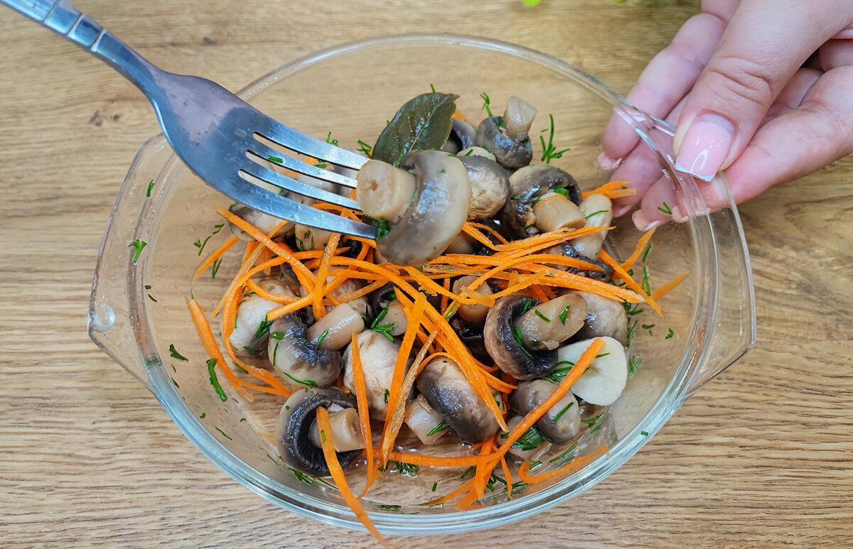 ��� ������ ������������ �����: ������� � ������� ������ �� ���������� ������