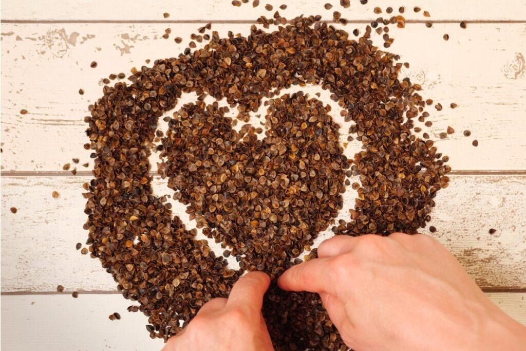 ���-5 ��������� � �������� ���������� ��� ������� ������� �������