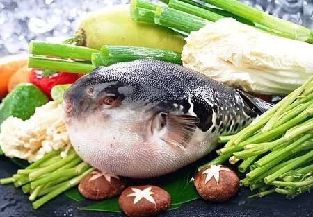 ������� ������������: ���� � ������ ����� ������ �� ����� �����