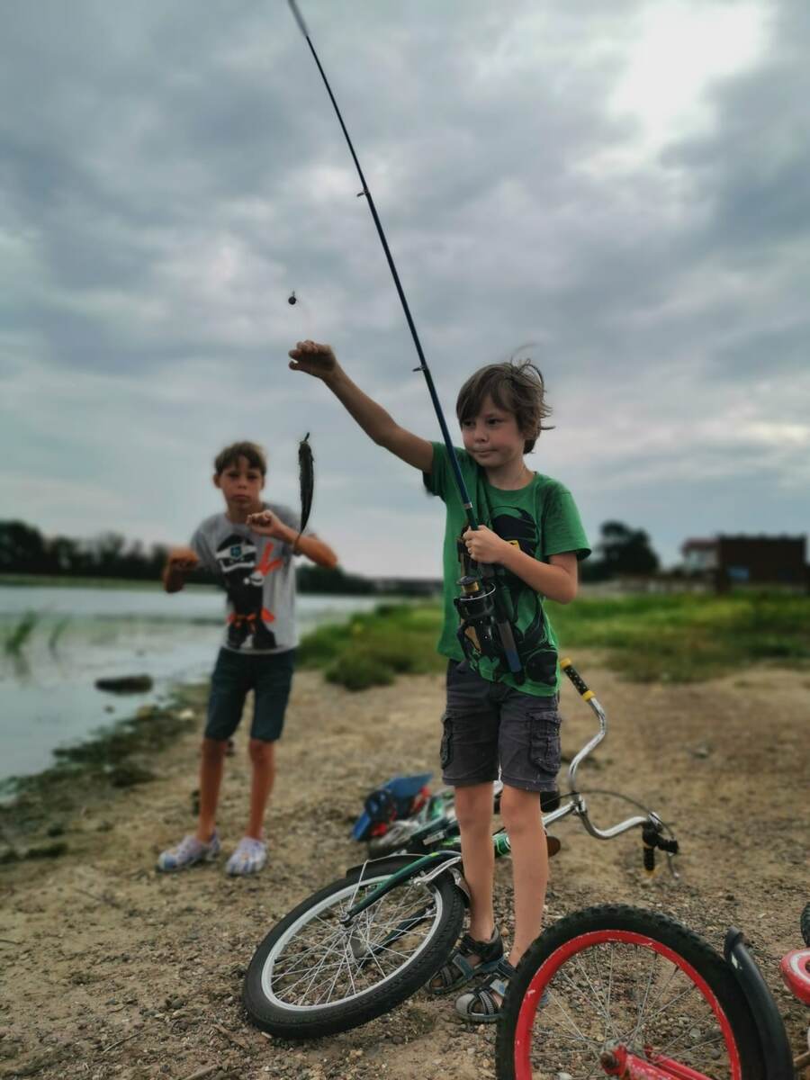 Как разнообразить семейное меню в условиях нехватки времени