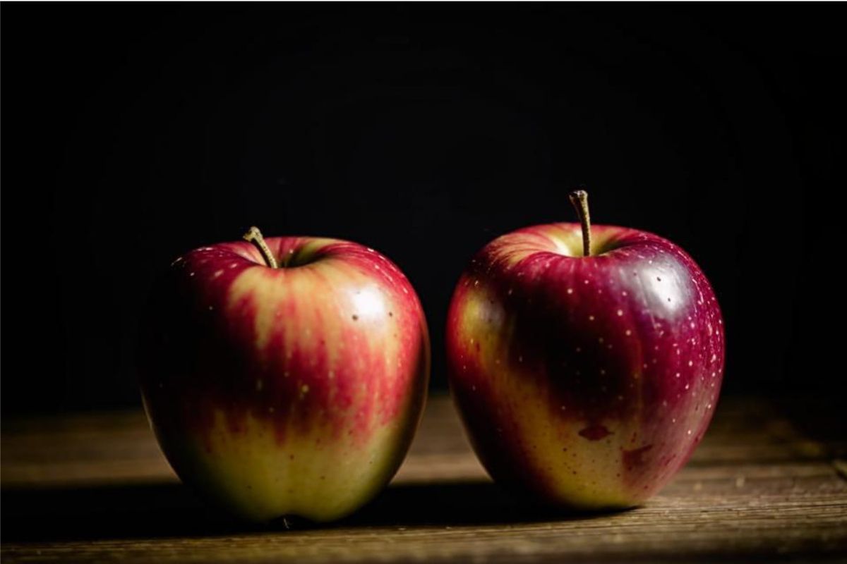 ����� ����������� �������� ��� ���������� ��������� ����