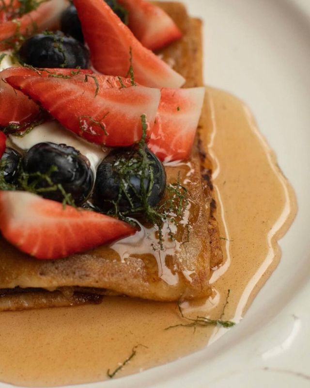 ���������: ����� � ������� �������� � ���������� Novikov Group