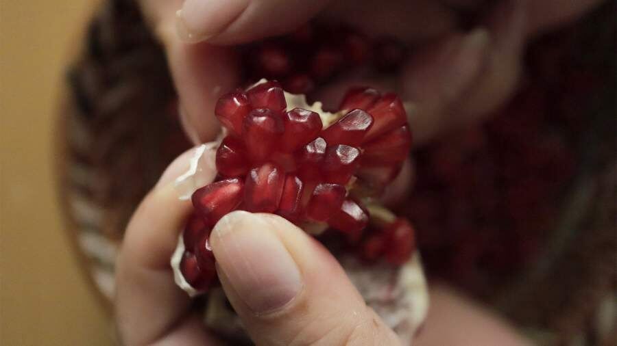 ���������� �������: ��� ������� ����������� ����� �� ����� ���