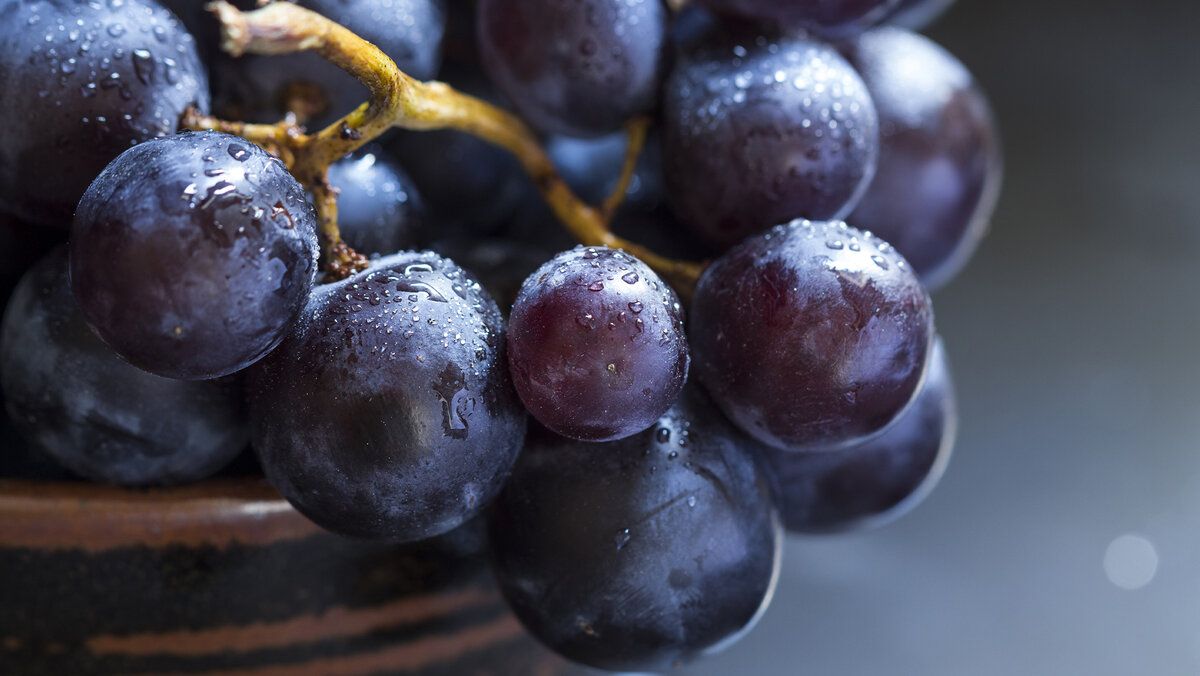 �������� � ����������: ����� �� ��������� ��� ��������?