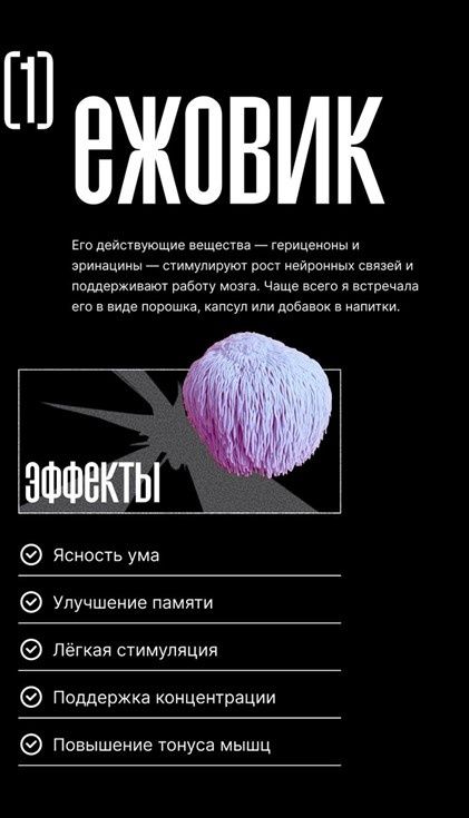 ����� � ����: ������ ����� ����� �������� � �����������