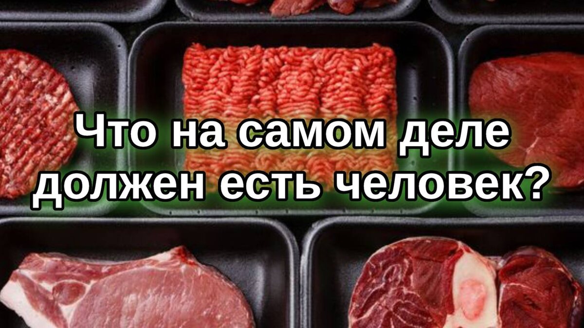 Что на самом деле должен есть человек