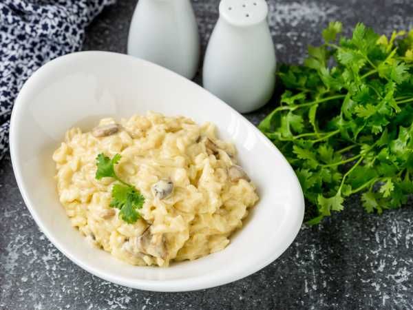 ������� � ������� � ��������