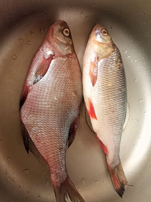 ��� ������ ����������� ����: ����������� ������ � ��������