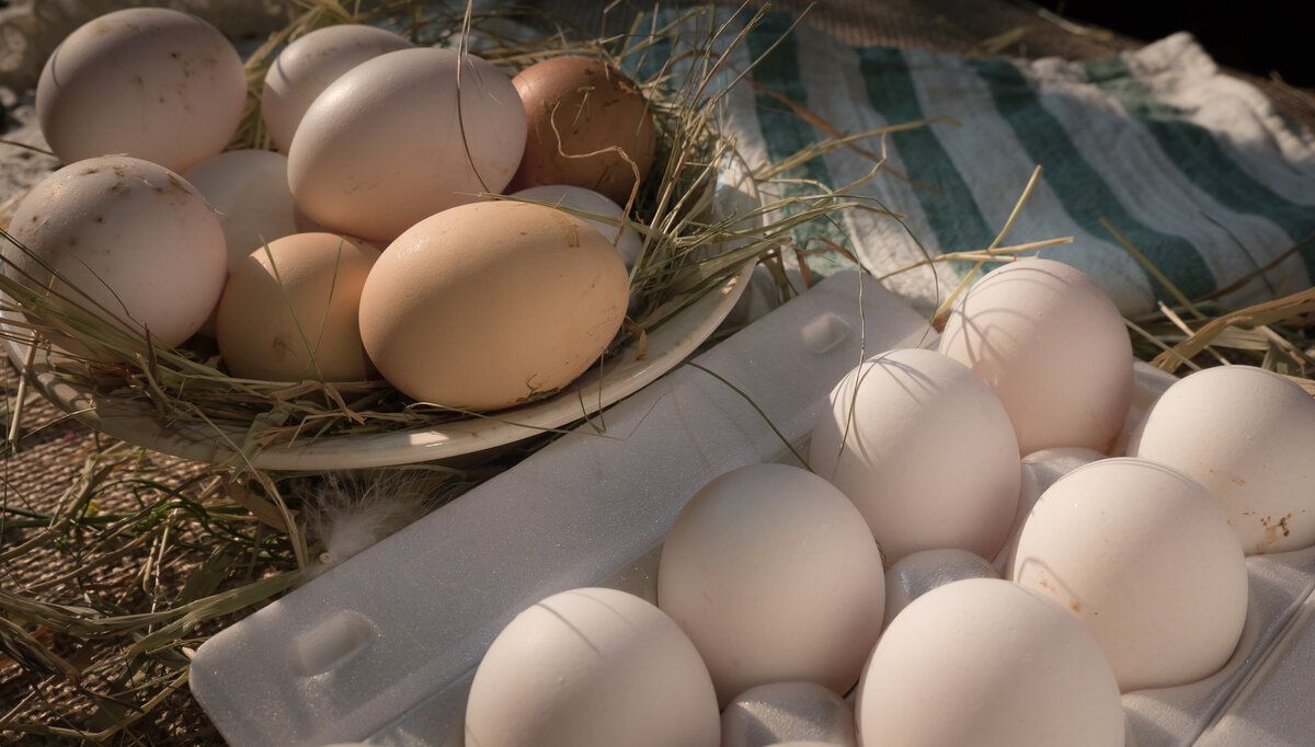 ������� ��� ���: ����������� ������������ ��� �������� �����