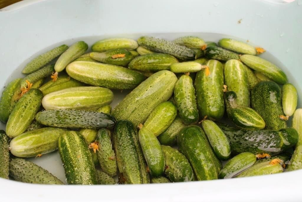 ��� �������� ���������� ������ � ������������ �������: ������� � ������