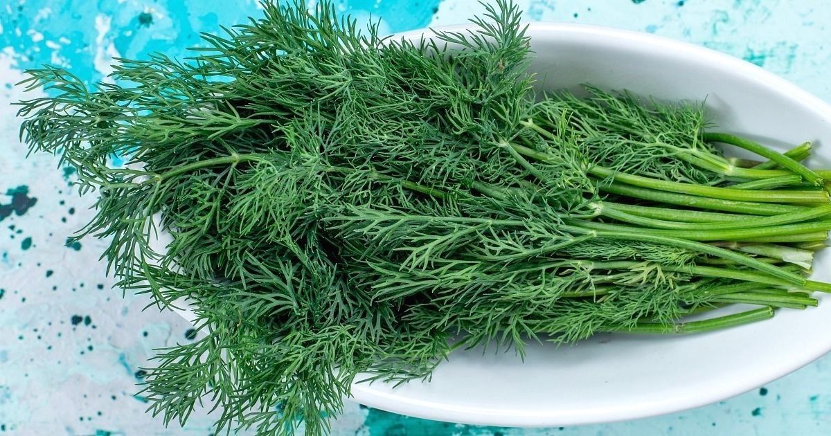 ��� ��������� ���������� �����, ����� ��������� ��� ���� � ������