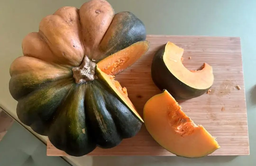 ����� ������ �������� �����, ������ � ������� � ������: ������� �� ����������