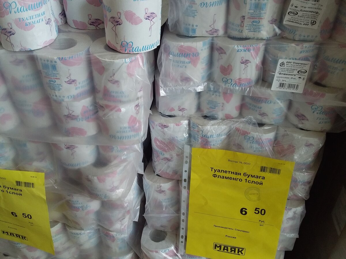 В поисках идеального комфорта: публика об использовании туалетной бумаги