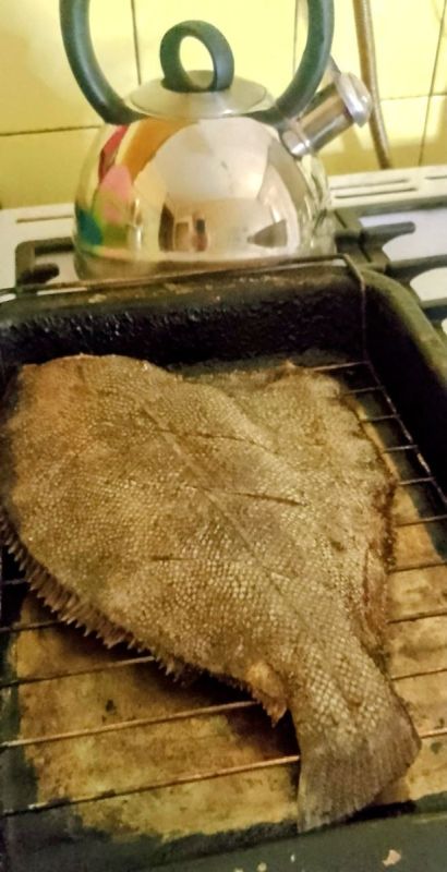 ������� �� �����: ������, ������ � ����� ������