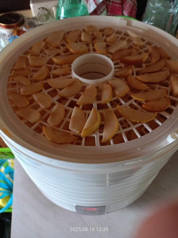 ��������� ���������: ��� ������� �������� ����� � �������� ��������