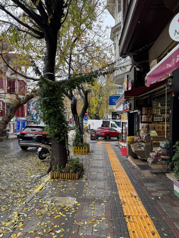 ������ ����� ��������: ������� ������� � ��������� �������