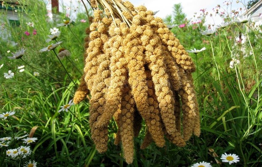 ���������� ����� �����: ��� ����� ����� � ������ �����?