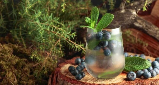 ����� �� ����: ������ ���� ������� ����������� ������������ �� ����� ����